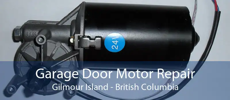 Garage Door Motor Repair Gilmour Island - British Columbia