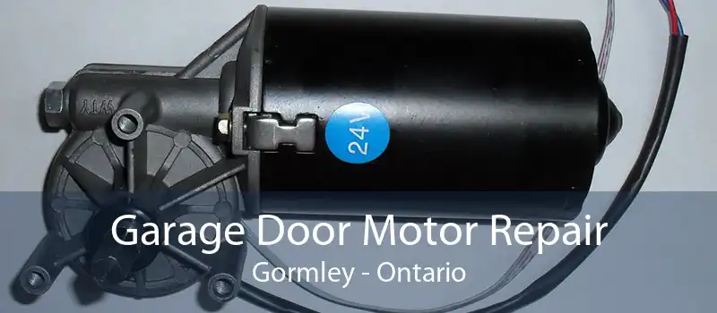 Garage Door Motor Repair Gormley - Ontario