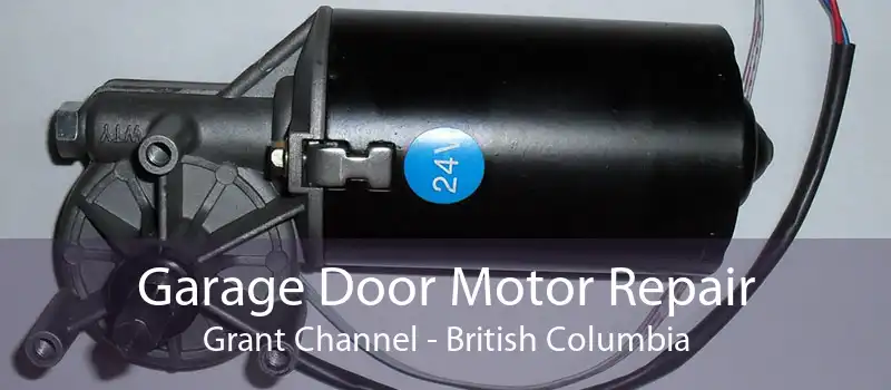 Garage Door Motor Repair Grant Channel - British Columbia