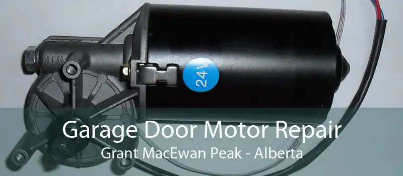 Garage Door Motor Repair Grant MacEwan Peak - Alberta