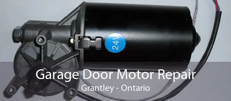 Garage Door Motor Repair Grantley - Ontario