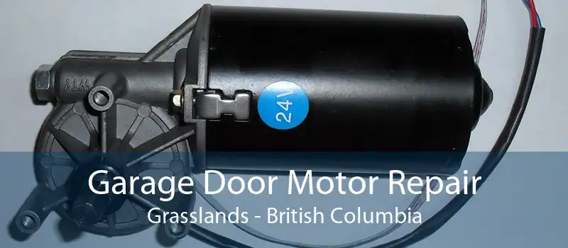 Garage Door Motor Repair Grasslands - British Columbia