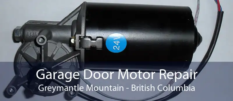 Garage Door Motor Repair Greymantle Mountain - British Columbia