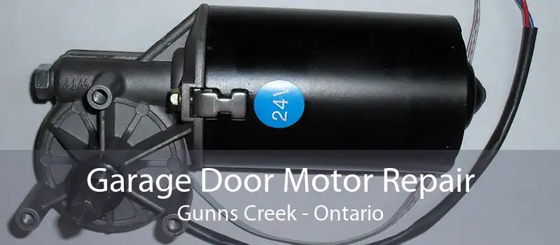 Garage Door Motor Repair Gunns Creek - Ontario
