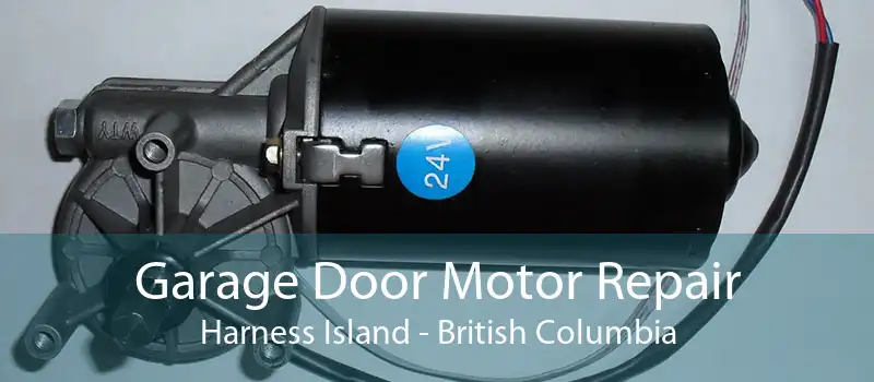 Garage Door Motor Repair Harness Island - British Columbia