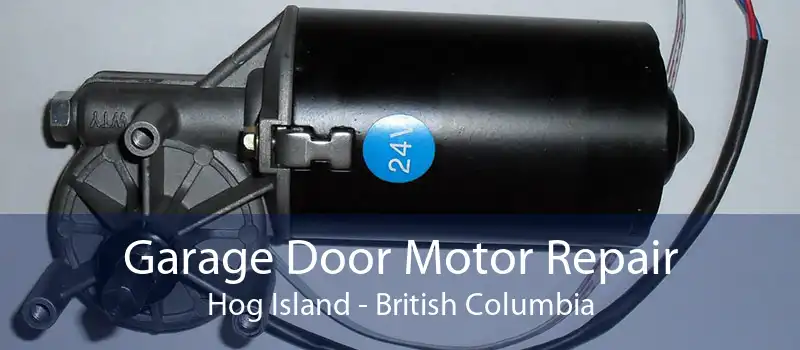 Garage Door Motor Repair Hog Island - British Columbia