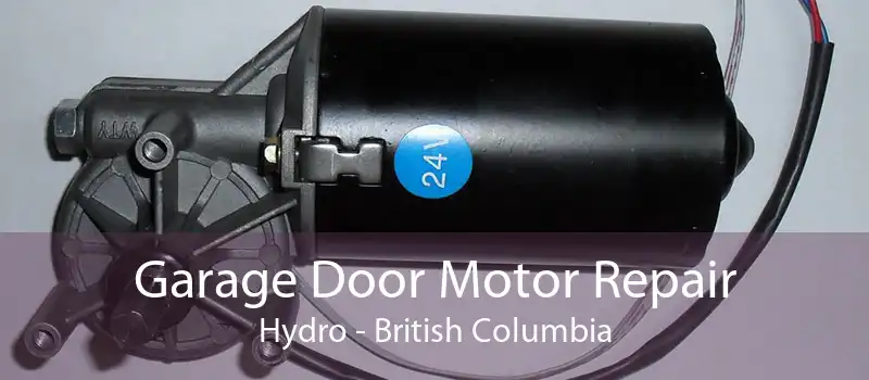 Garage Door Motor Repair Hydro - British Columbia