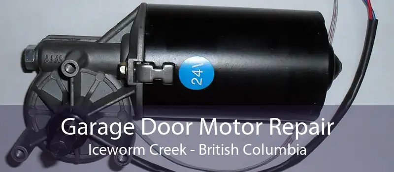 Garage Door Motor Repair Iceworm Creek - British Columbia
