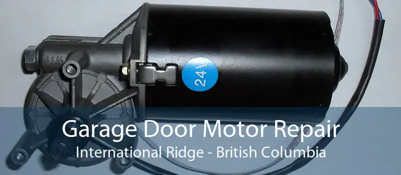 Garage Door Motor Repair International Ridge - British Columbia