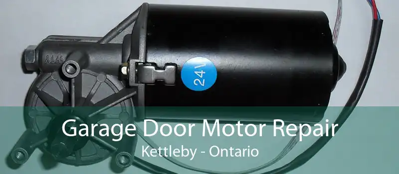 Garage Door Motor Repair Kettleby - Ontario