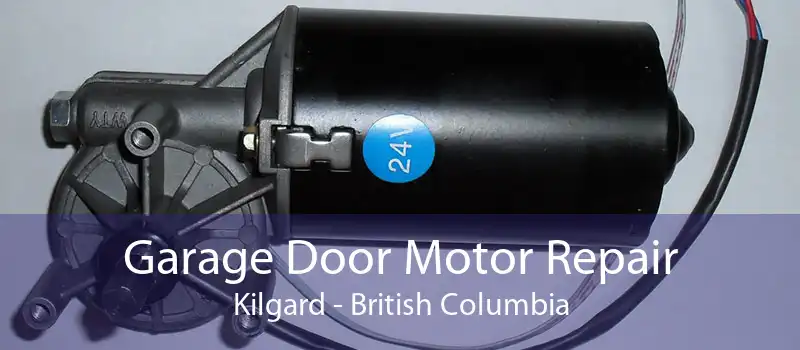 Garage Door Motor Repair Kilgard - British Columbia