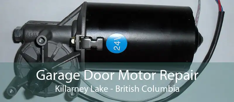 Garage Door Motor Repair Killarney Lake - British Columbia