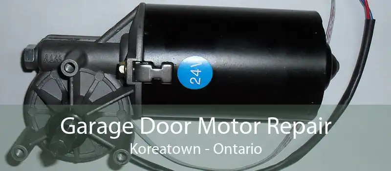 Garage Door Motor Repair Koreatown - Ontario