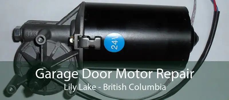 Garage Door Motor Repair Lily Lake - British Columbia