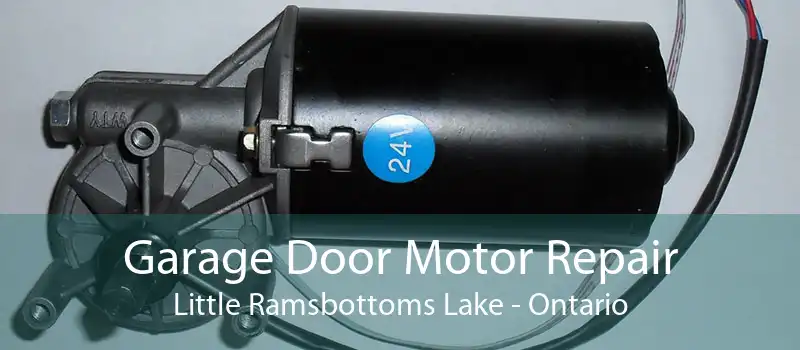 Garage Door Motor Repair Little Ramsbottoms Lake - Ontario