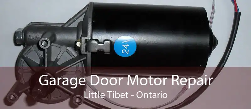 Garage Door Motor Repair Little Tibet - Ontario