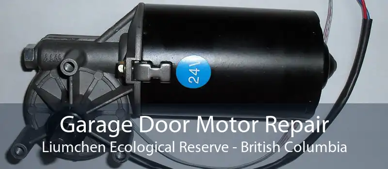 Garage Door Motor Repair Liumchen Ecological Reserve - British Columbia