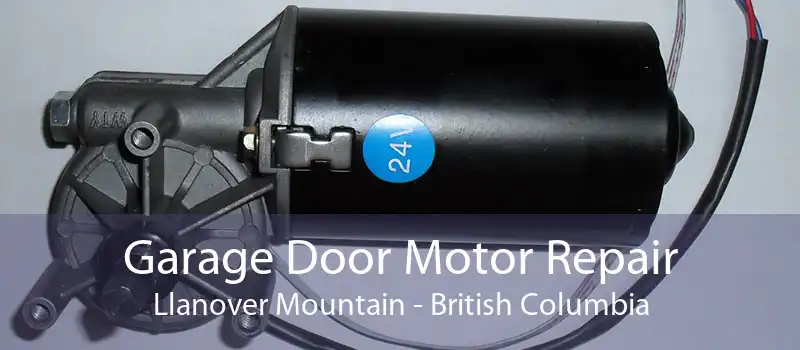 Garage Door Motor Repair Llanover Mountain - British Columbia