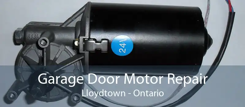 Garage Door Motor Repair Lloydtown - Ontario