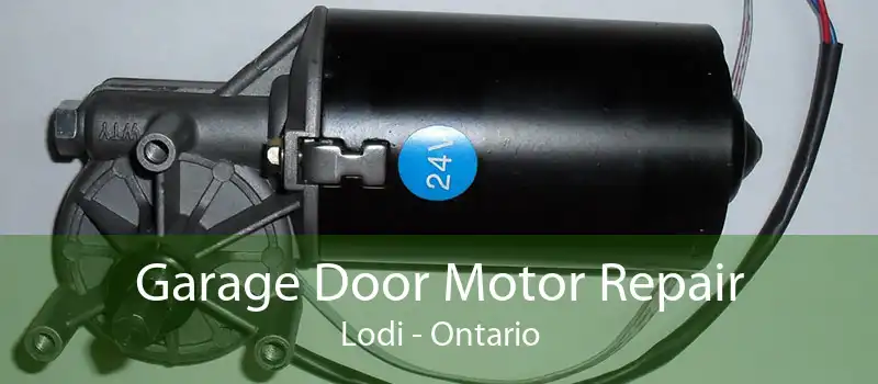 Garage Door Motor Repair Lodi - Ontario