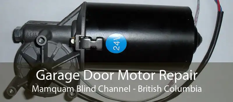 Garage Door Motor Repair Mamquam Blind Channel - British Columbia