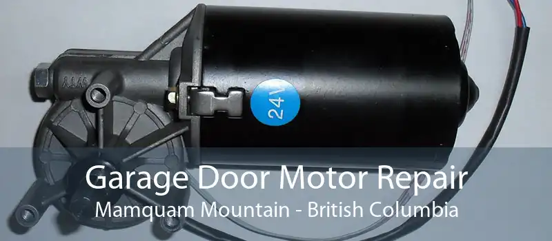 Garage Door Motor Repair Mamquam Mountain - British Columbia