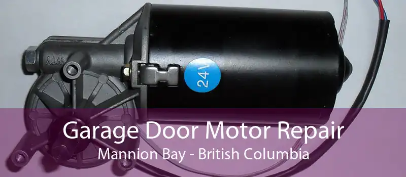 Garage Door Motor Repair Mannion Bay - British Columbia