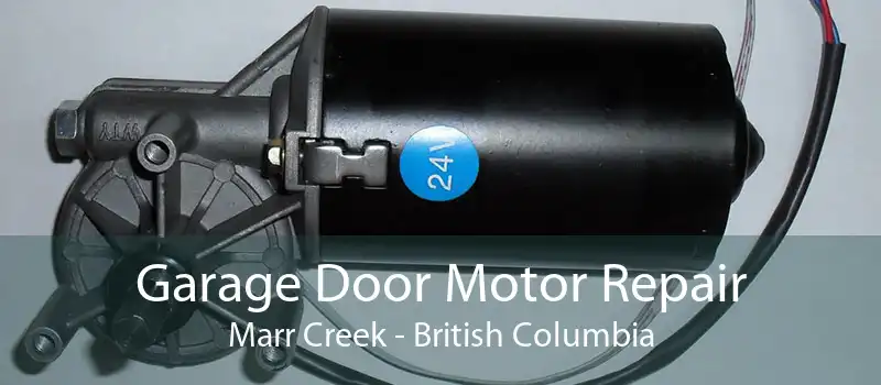 Garage Door Motor Repair Marr Creek - British Columbia