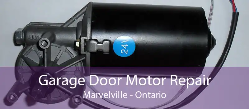 Garage Door Motor Repair Marvelville - Ontario
