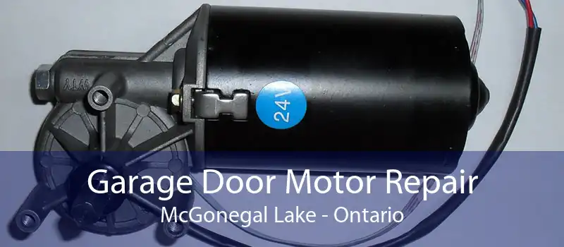Garage Door Motor Repair McGonegal Lake - Ontario
