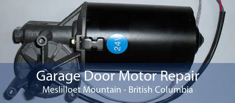 Garage Door Motor Repair Meslilloet Mountain - British Columbia