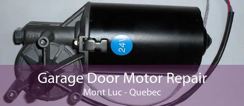 Garage Door Motor Repair Mont Luc - Quebec