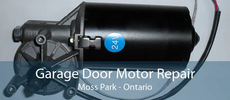 Garage Door Motor Repair Moss Park - Ontario