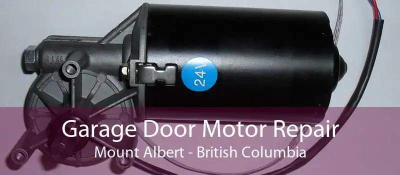 Garage Door Motor Repair Mount Albert - British Columbia