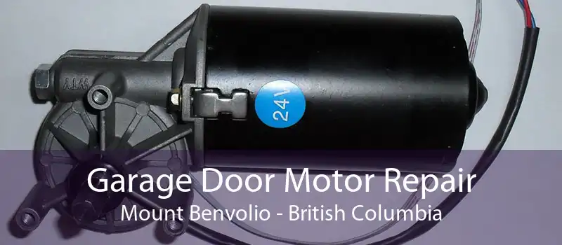Garage Door Motor Repair Mount Benvolio - British Columbia