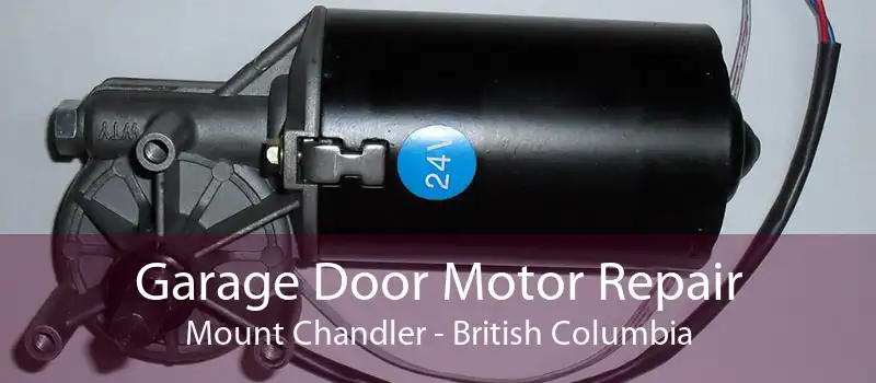 Garage Door Motor Repair Mount Chandler - British Columbia
