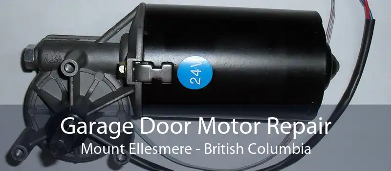 Garage Door Motor Repair Mount Ellesmere - British Columbia