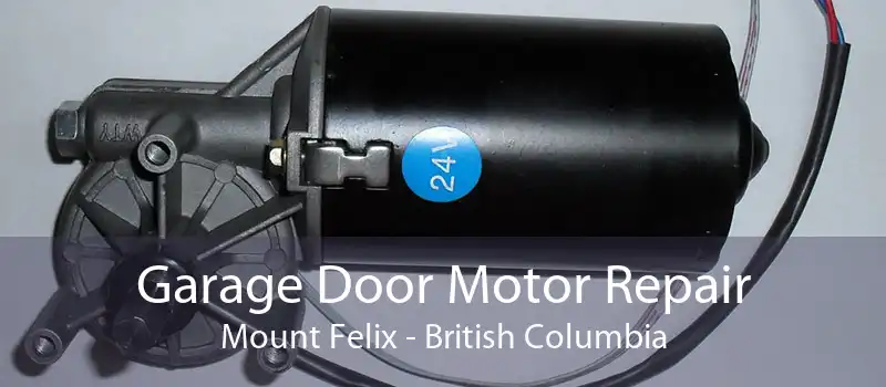 Garage Door Motor Repair Mount Felix - British Columbia