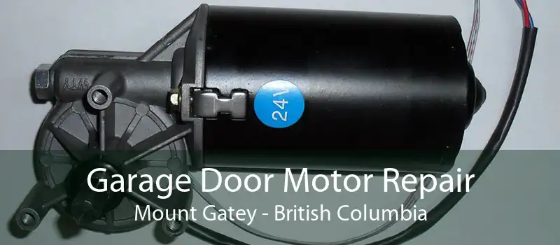 Garage Door Motor Repair Mount Gatey - British Columbia