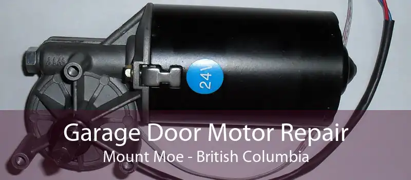 Garage Door Motor Repair Mount Moe - British Columbia