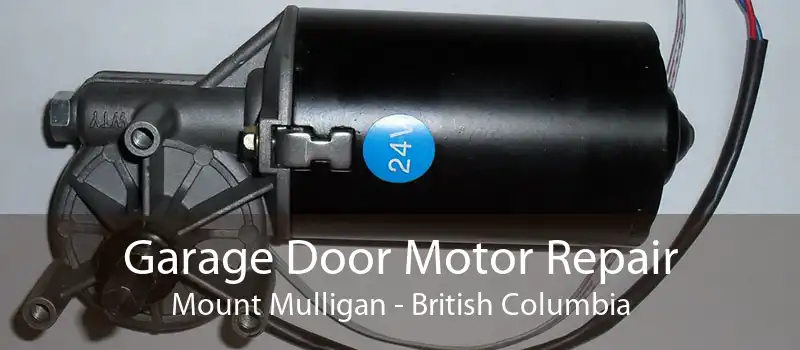 Garage Door Motor Repair Mount Mulligan - British Columbia