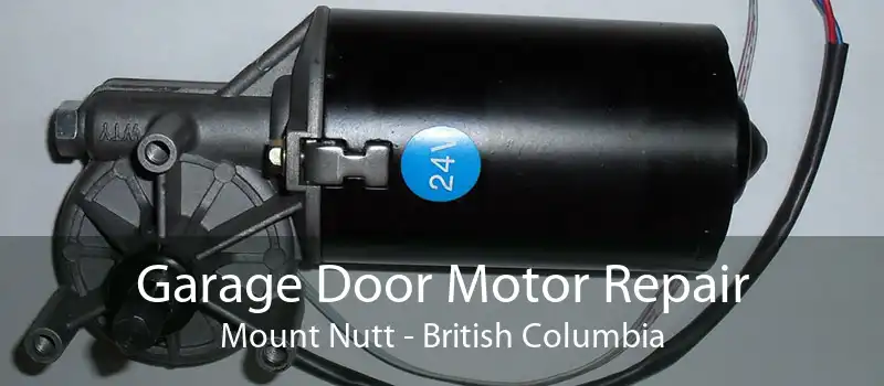 Garage Door Motor Repair Mount Nutt - British Columbia