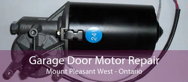 Garage Door Motor Repair Mount Pleasant West - Ontario
