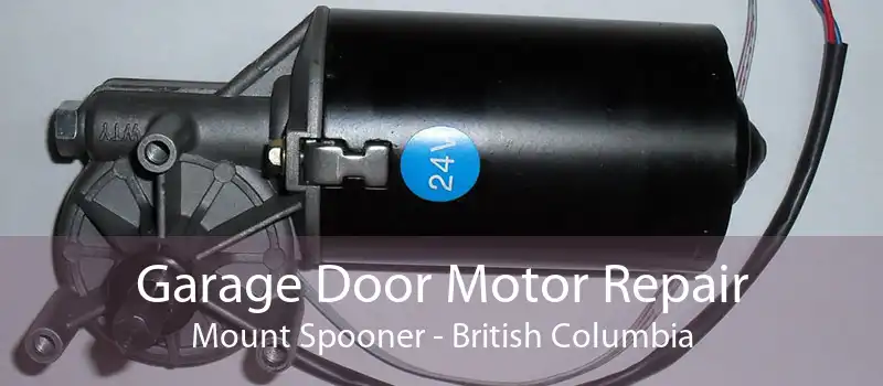 Garage Door Motor Repair Mount Spooner - British Columbia