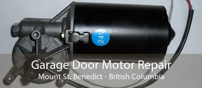 Garage Door Motor Repair Mount St. Benedict - British Columbia