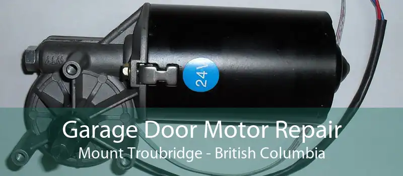 Garage Door Motor Repair Mount Troubridge - British Columbia