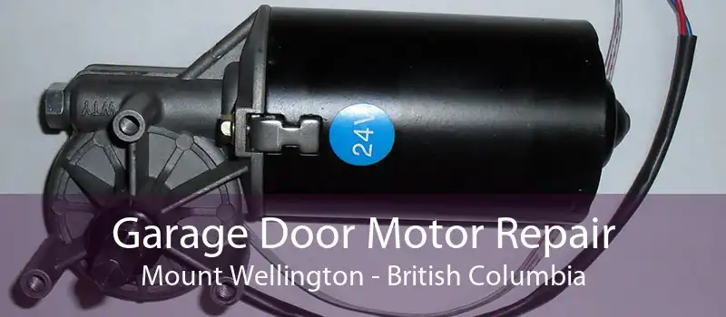 Garage Door Motor Repair Mount Wellington - British Columbia