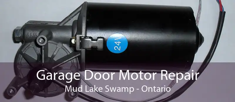 Garage Door Motor Repair Mud Lake Swamp - Ontario