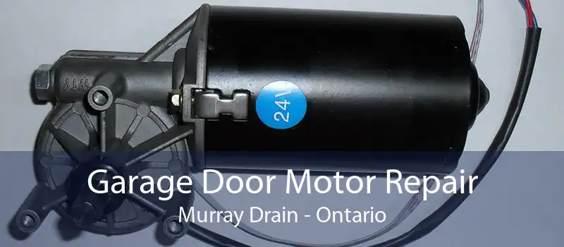 Garage Door Motor Repair Murray Drain - Ontario