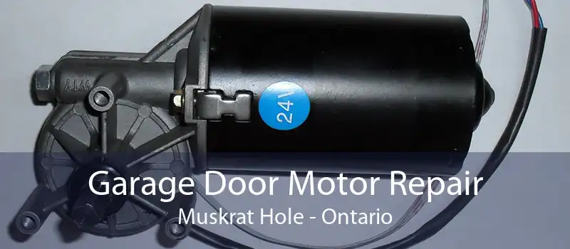 Garage Door Motor Repair Muskrat Hole - Ontario